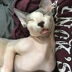 Meet your Posher, Corey